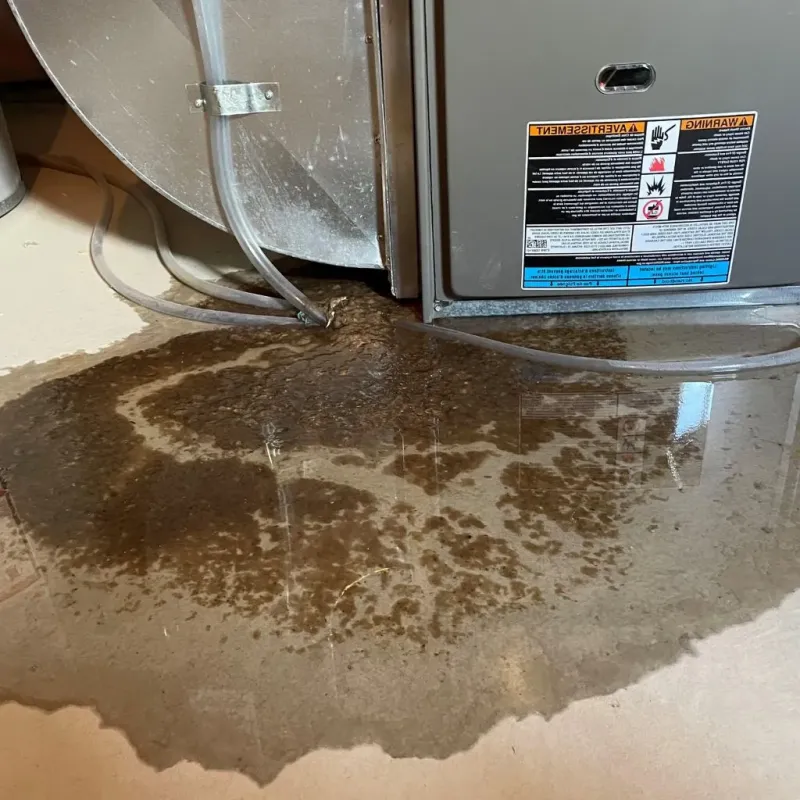 Pipe Burst and Leak Restoration in Blaine County, ID